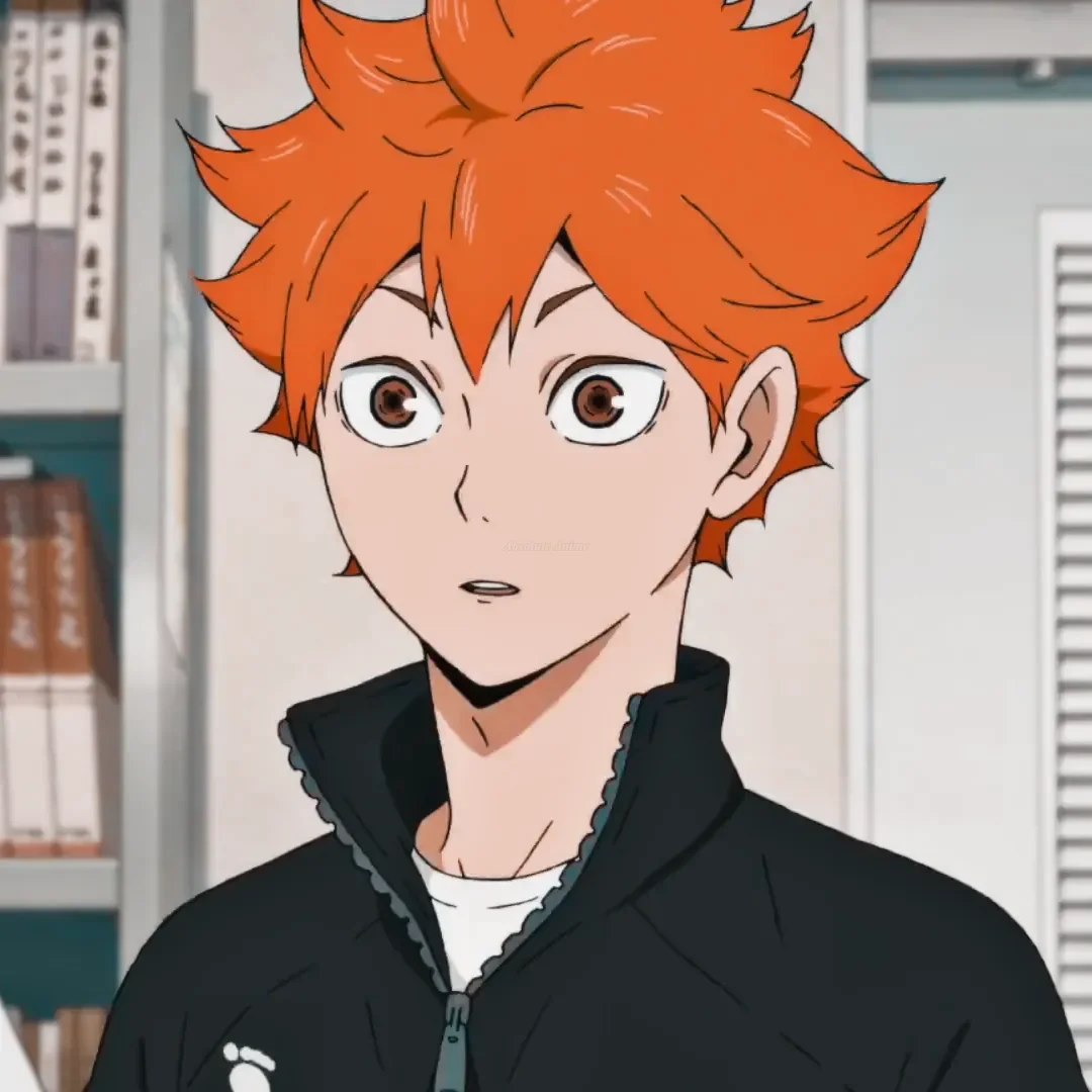 Haikyuu Hinata Anime